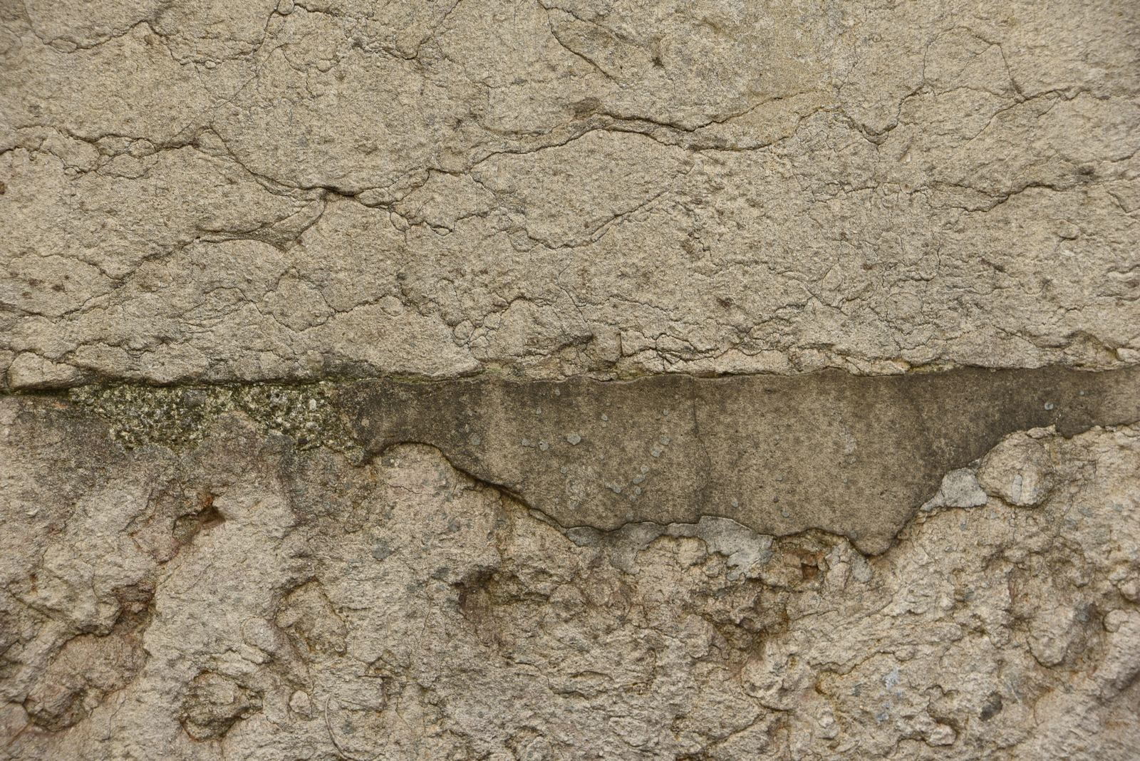 pt_202409_0081.jpg